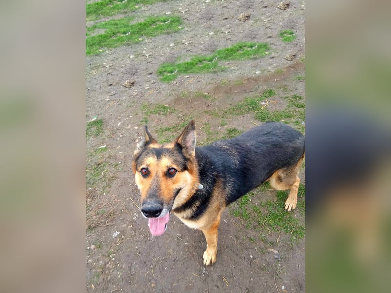 Noah, menschenbezogen und freundlich