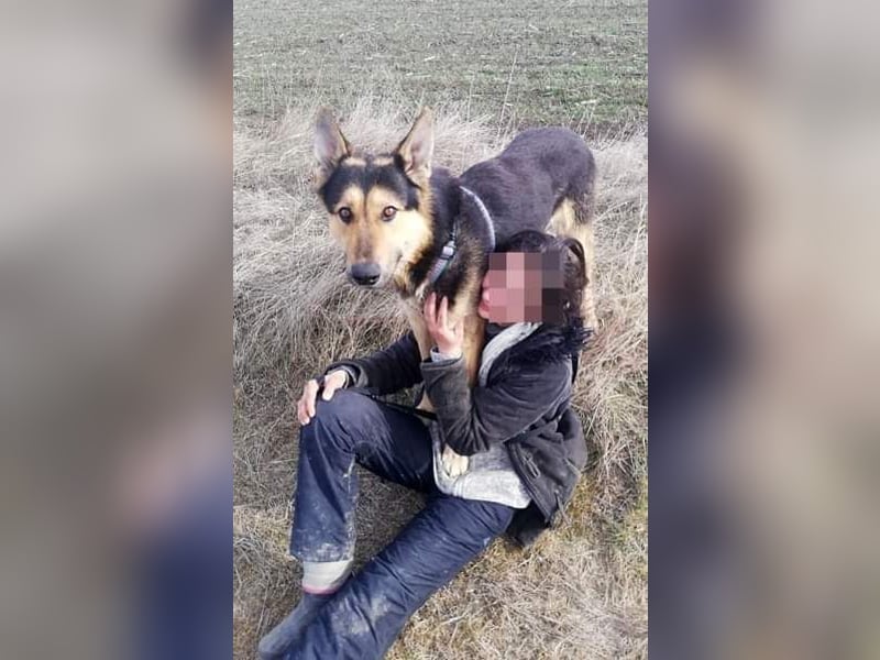 Noah, menschenbezogen und freundlich