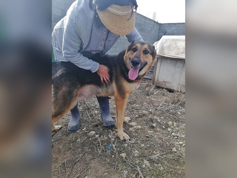 Noah, menschenbezogen und freundlich