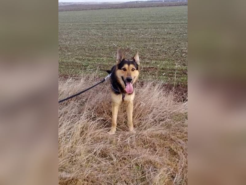 Noah, menschenbezogen und freundlich