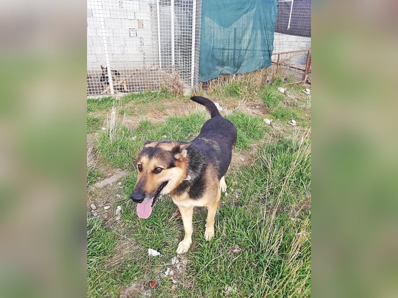 Noah, menschenbezogen und freundlich