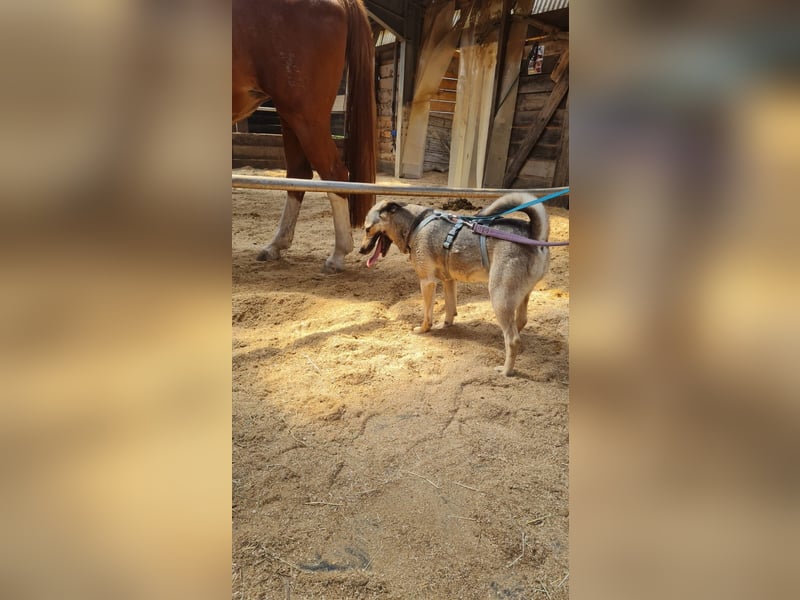 Shanty überstrahlt ihre traurige Vergangenheit