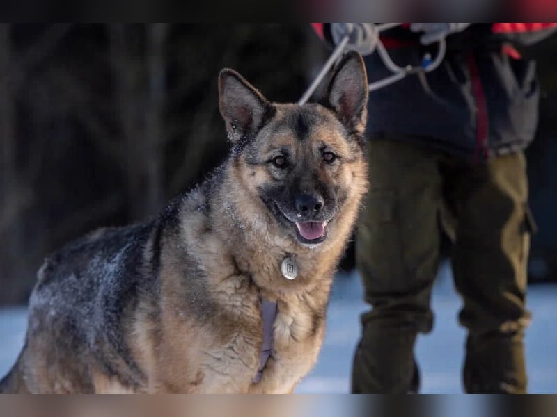 Menschenbezogene Lima sucht dich!