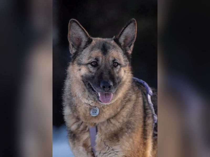 Menschenbezogene Lima sucht ihre Familie