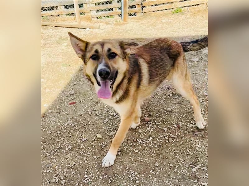 Hübsche MARGA-sozial, sucht das Glück  in einer eigenen, liebevollen Familie