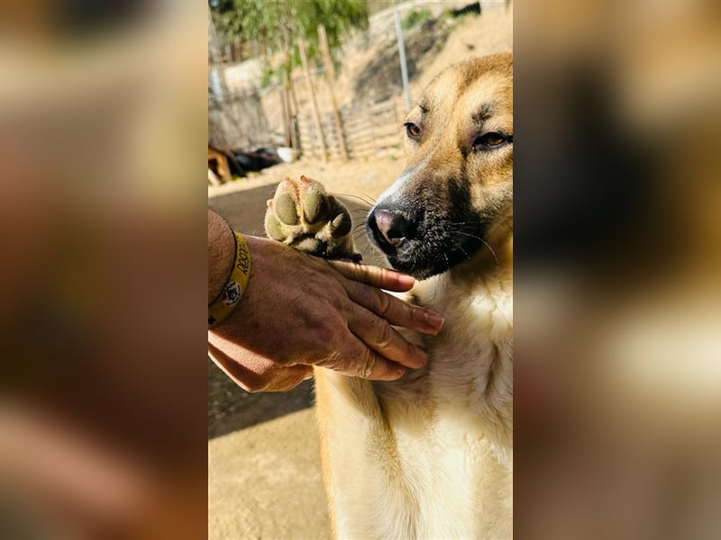 Hübsche MARGA-sozial, sucht das Glück  in einer eigenen, liebevollen Familie