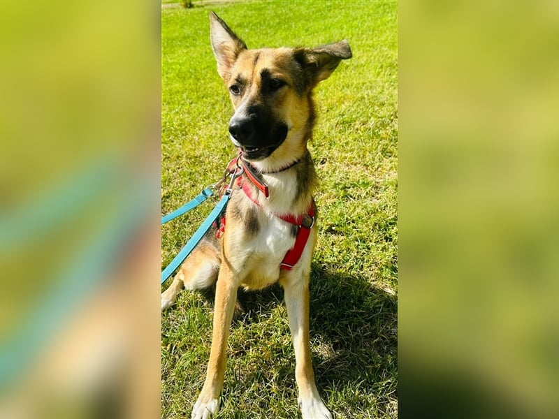 Hübsche MARGA-sozial, sucht das Glück  in einer eigenen, liebevollen Familie