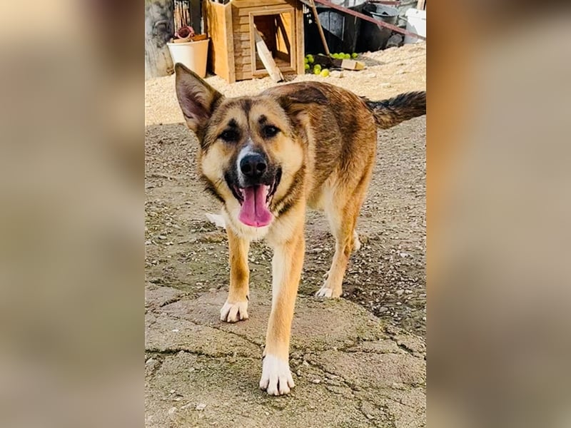 Hübsche MARGA-sozial, sucht das Glück  in einer eigenen, liebevollen Familie