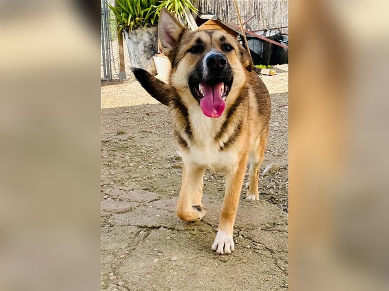 Hübsche MARGA-sozial, sucht das Glück  in einer eigenen, liebevollen Familie