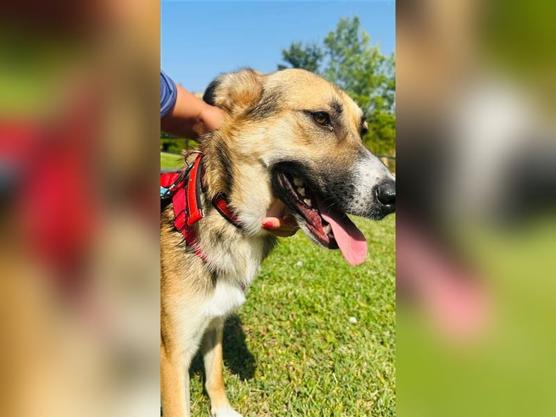 Hübsche MARGA-sozial, sucht das Glück  in einer eigenen, liebevollen Familie