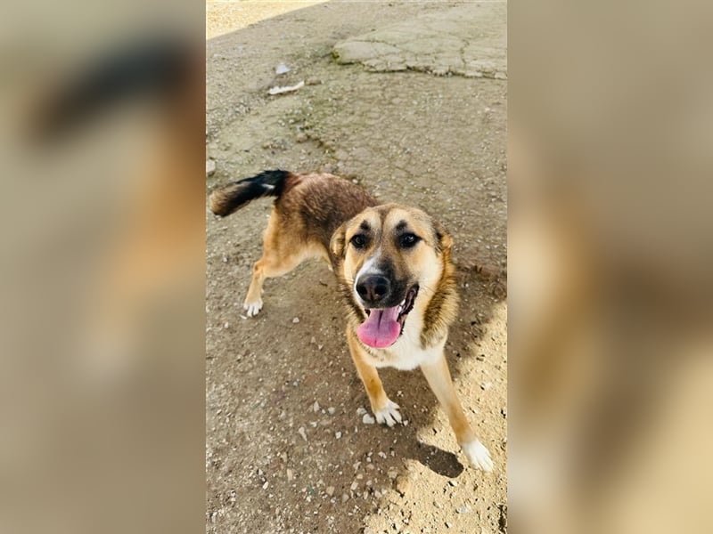 Hübsche MARGA-sozial, sucht das Glück  in einer eigenen, liebevollen Familie