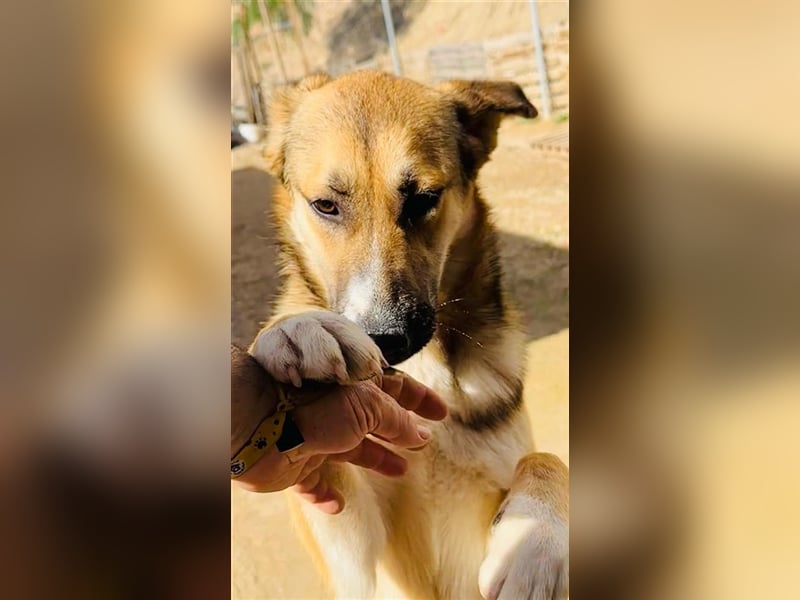 Hübsche MARGA-sozial, sucht das Glück  in einer eigenen, liebevollen Familie