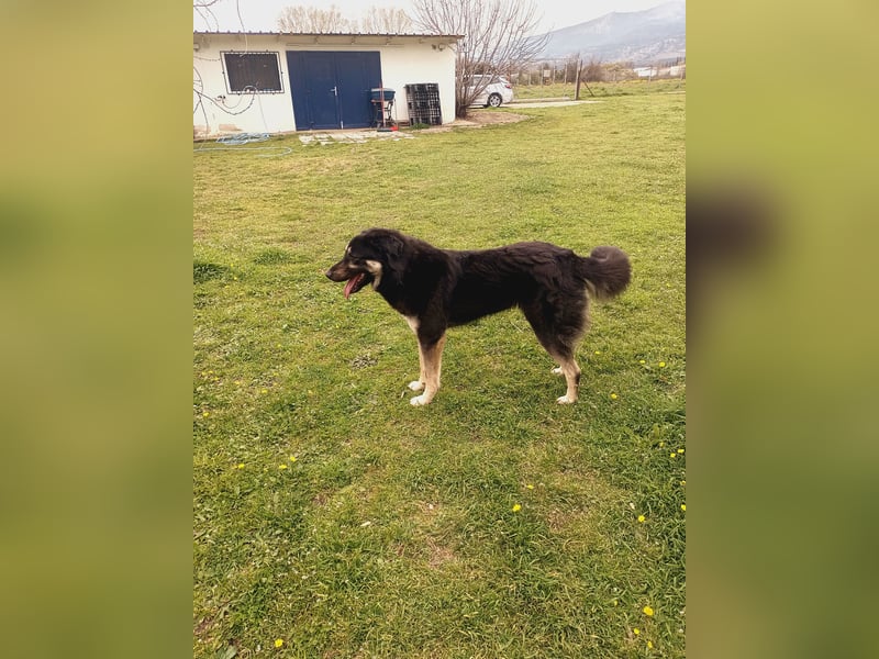 Amy -  wunderschöne Lady mit purer Lebensfreude