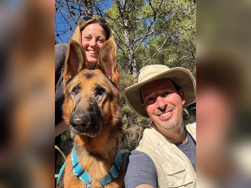 Xando (Spanien) – stolzer Schäferhund-Senior sucht ein Zuhause, das ihn endlich verdient