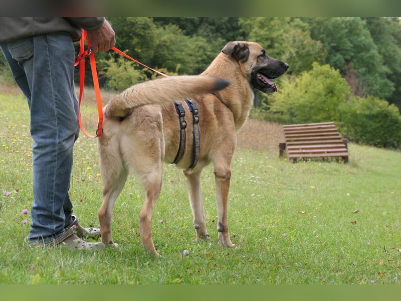 Harway – unser aufgehender Stern