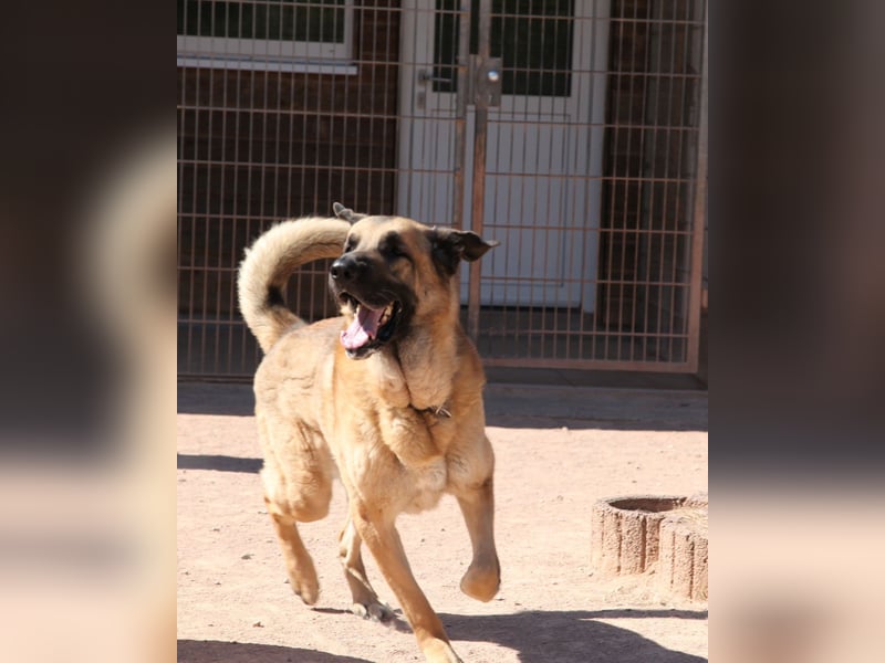 Harway – unser aufgehender Stern