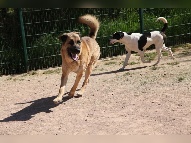 Harway – unser aufgehender Stern