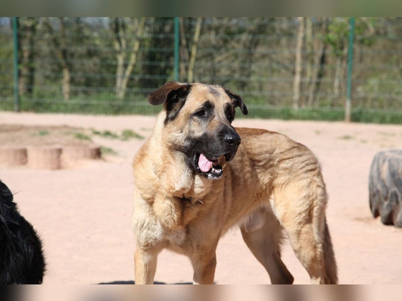 Harway – unser aufgehender Stern