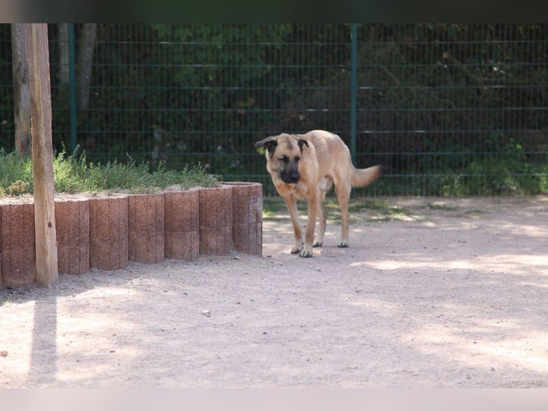 Harway – unser aufgehender Stern