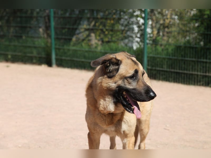 Harway – unser aufgehender Stern