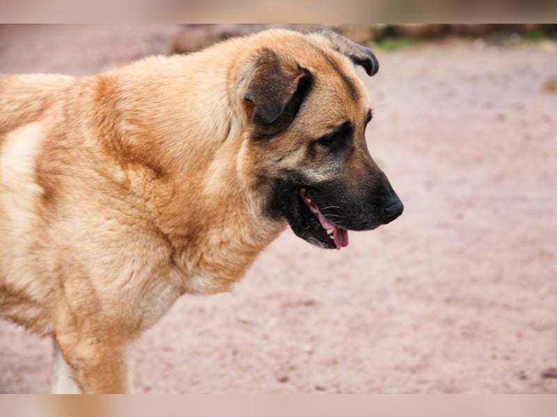 Harway – unser aufgehender Stern