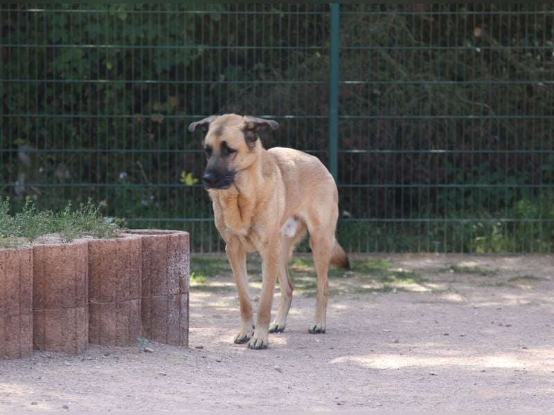 Harway – unser aufgehender Stern