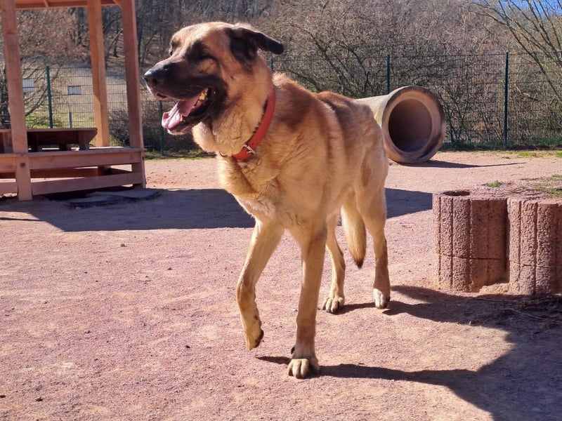 Harway – unser aufgehender Stern