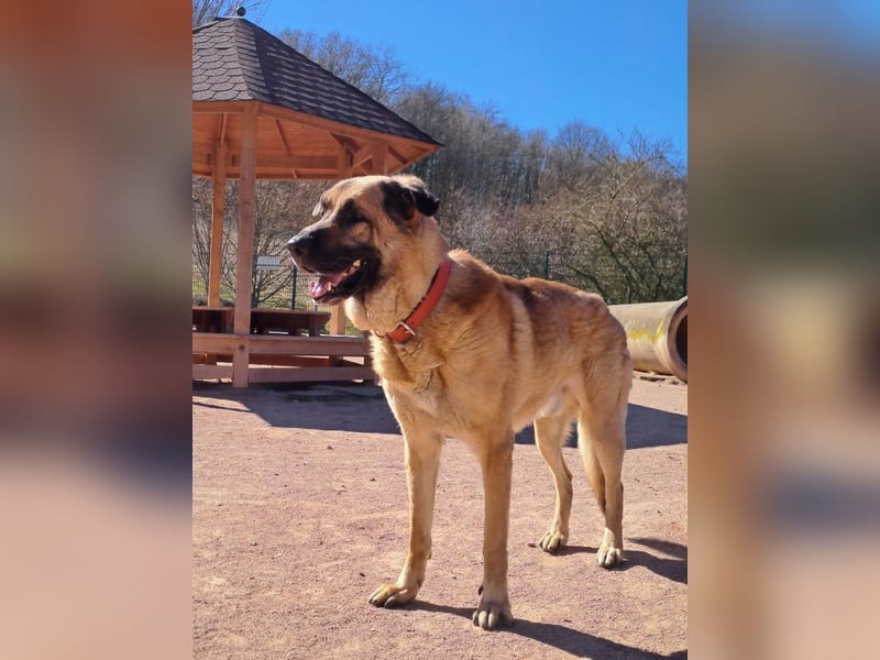 Harway – unser aufgehender Stern