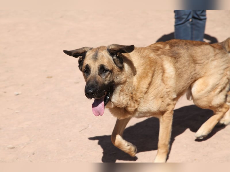 Harway – unser aufgehender Stern