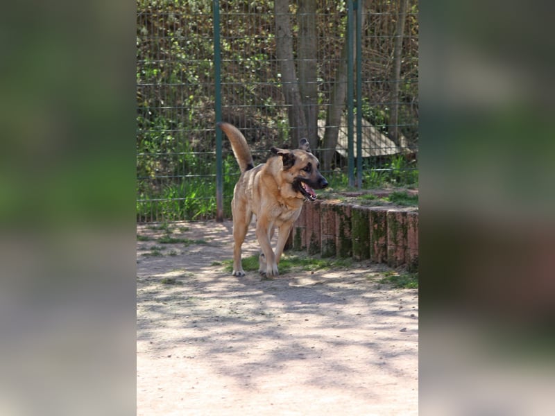 Harway – unser aufgehender Stern