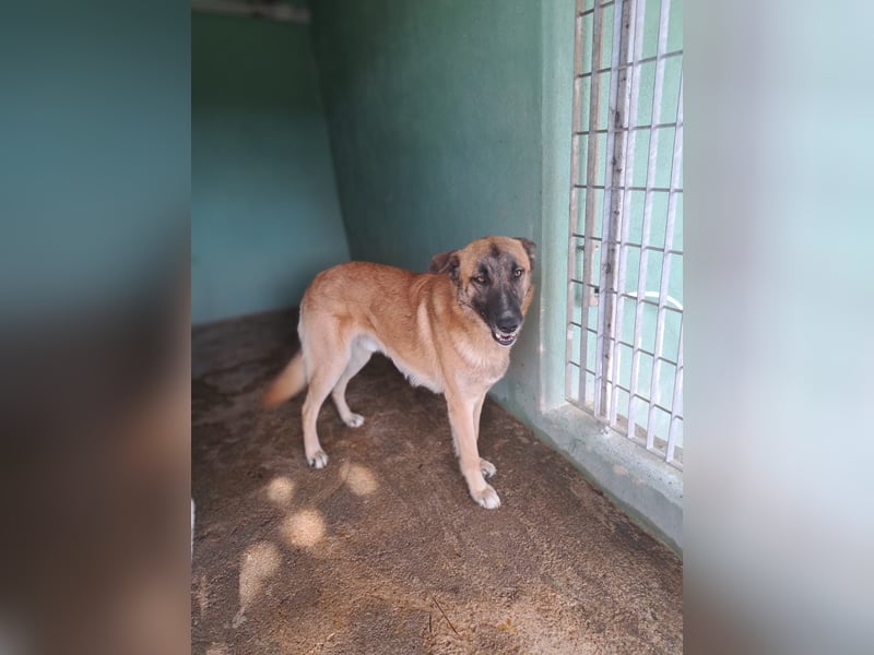 Jack such seine Menschen