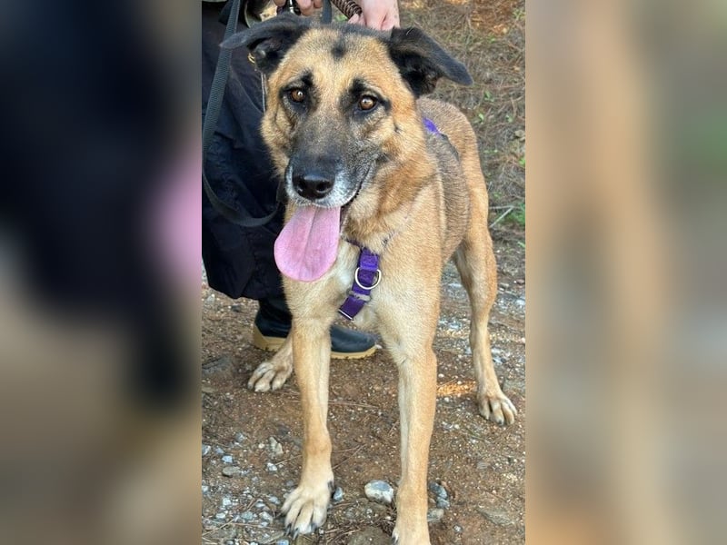 DORA geht mit dir durch dick und dünn