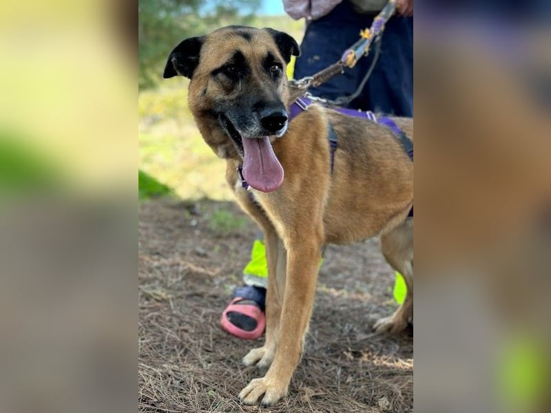 DORA geht mit dir durch dick und dünn