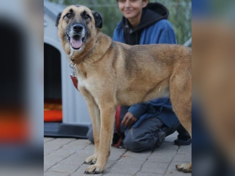 DORA geht mit dir durch dick und dünn