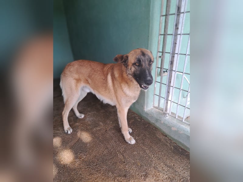 Jack such seine Menschen