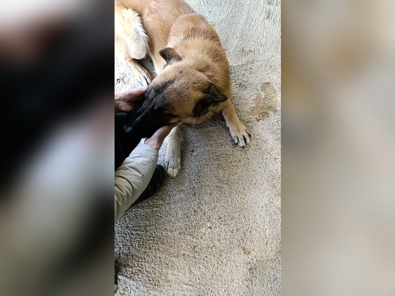 Jack such seine Menschen