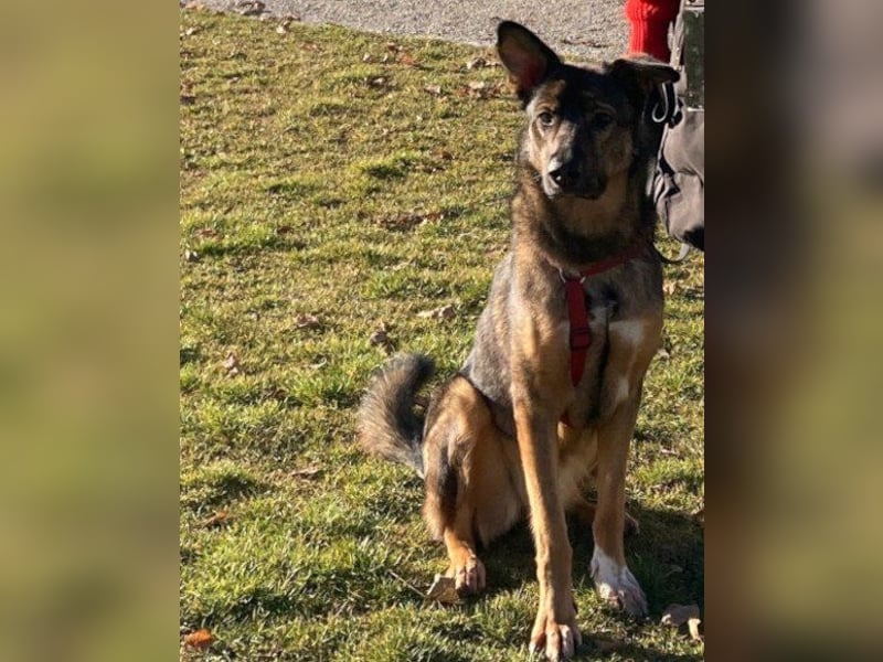 Besuche Nelli in 25474 Bönningstedt