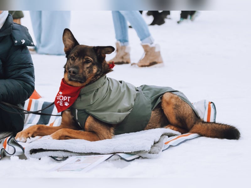 Lerne Nelli in 25474 Bönningstedt kennen ❤