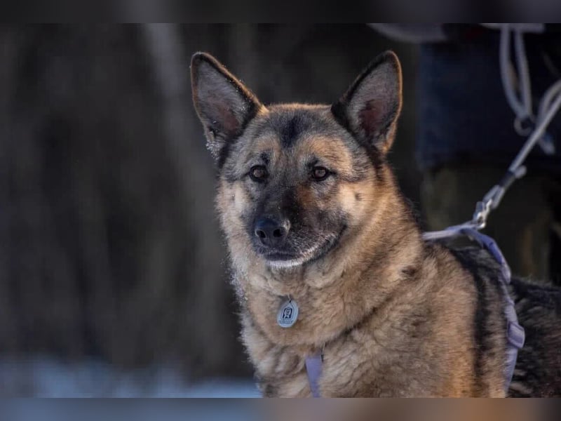 Menschenbezogene Lima sucht dich!