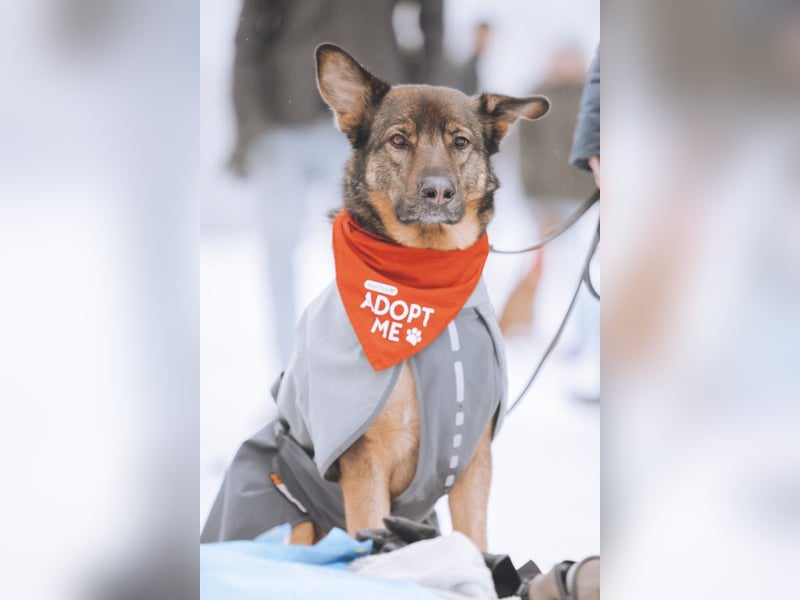 Lerne Nelli in 25474 Bönningstedt kennen