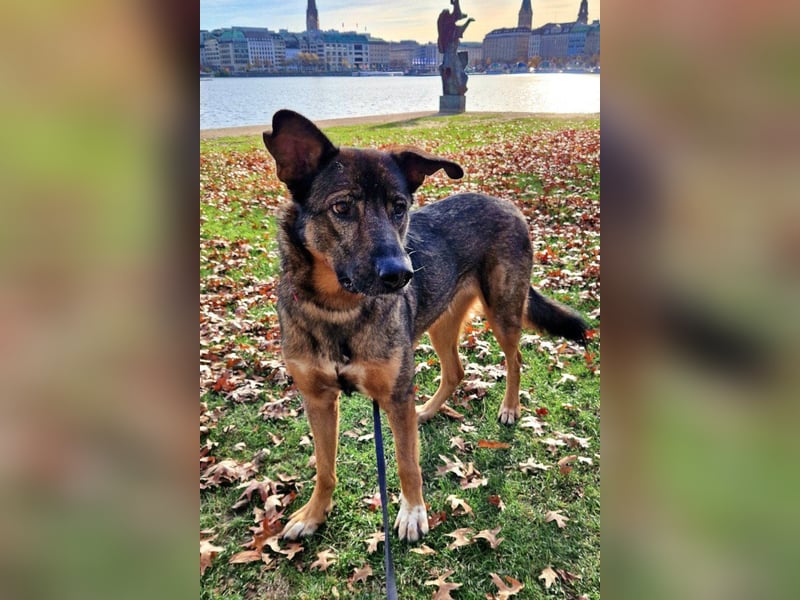 Besuche Nelli in 25474 Bönningstedt