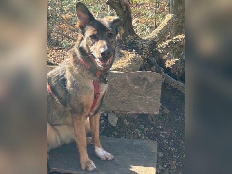 Besuche Nelli in 25474 Bönningstedt