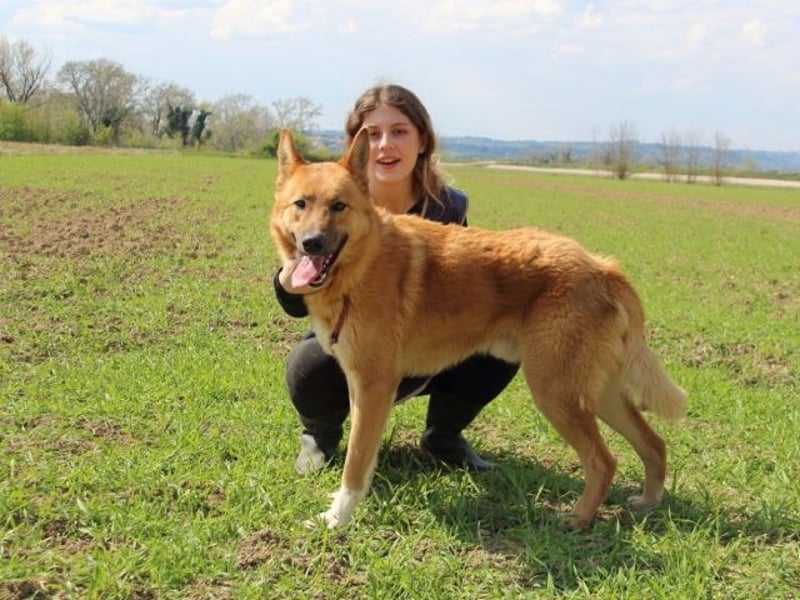 Lupetto - Da bist du ja