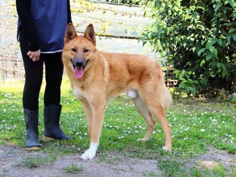 Lupetto - Da bist du ja