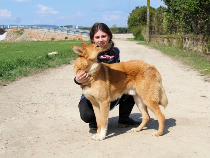 Lupetto - Da bist du ja