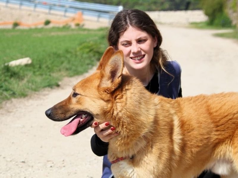 Lupetto - Da bist du ja