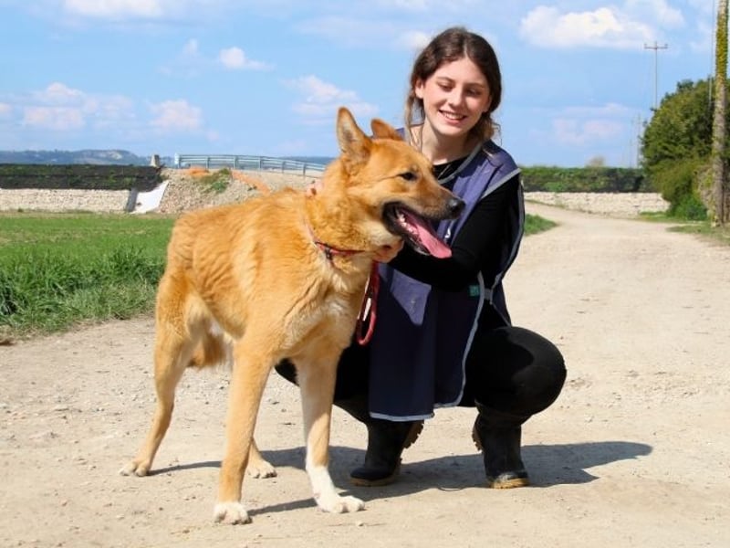 Lupetto - Da bist du ja