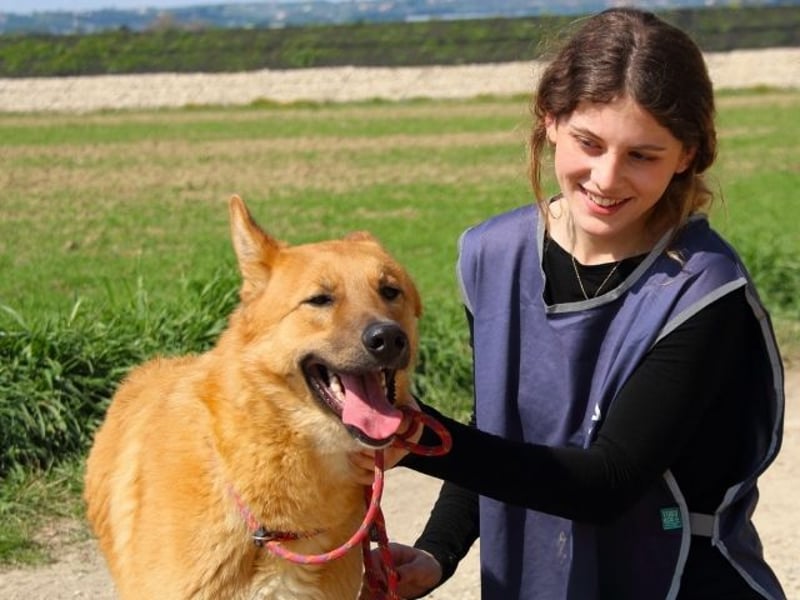 Lupetto - Da bist du ja