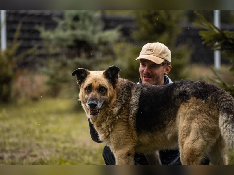 Chiku: Entspannt, entspannter, Chiku!