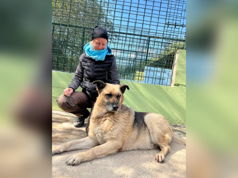 Chiku: Entspannt, entspannter, Chiku!